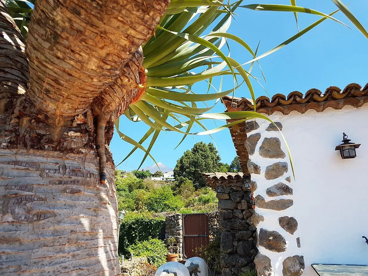 Villa Finca Los Ciruelos Casas Rurales Icod De Los Vinos